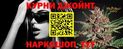 сатива Бузулук