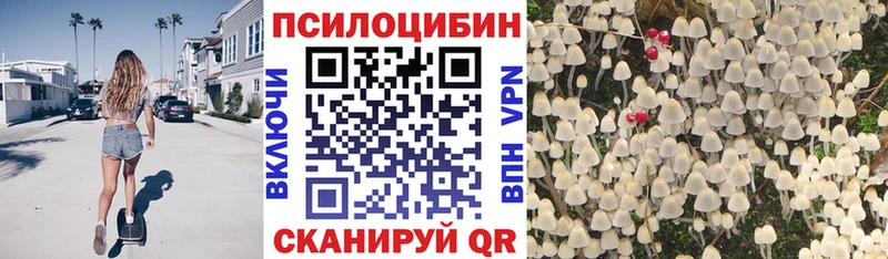 купить закладку  Кувандык  hydra маркетплейс  Галлюциногенные грибы Psilocybe 
