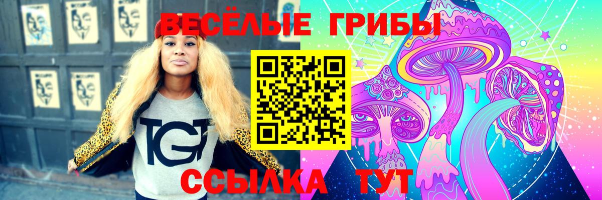 Галлюциногенные грибы Magic Shrooms Кувандык