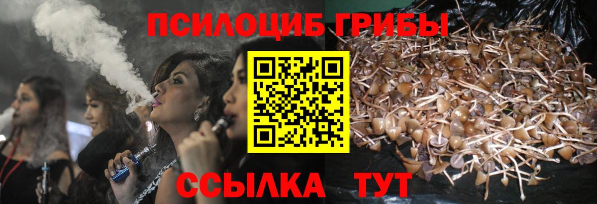 Кувандык  что такое   Вход с VPN  Псилоцибиновые грибы Psilocybe 
