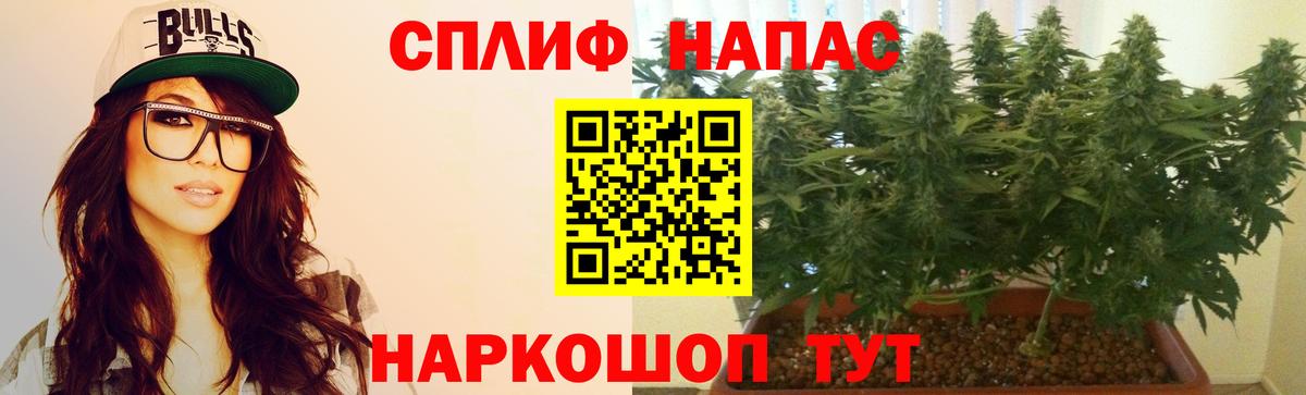 Кувандык  Канабис Amnesia  Вход с VPN  Марихуана сатива  Шишки марихуана марихуана 